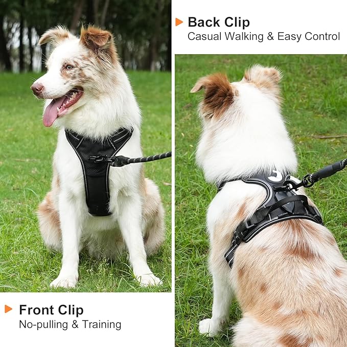 Taglory Light Up Dog Harness, Rechargeable No Pull Dog Vest with 3 Lightning Modes, Reflective Dog Harness with 2 Leash Clips & 4 Adjustable Slide Strips for Large Dogs, Black-Purple, XL