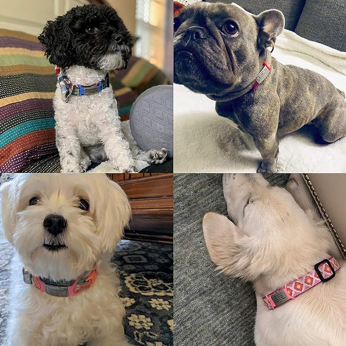 Personalized Dog & Cat ID Tags - Engraved Dog Name Tags - Slide On, Silent & Customized for Small, Medium & Large Pets