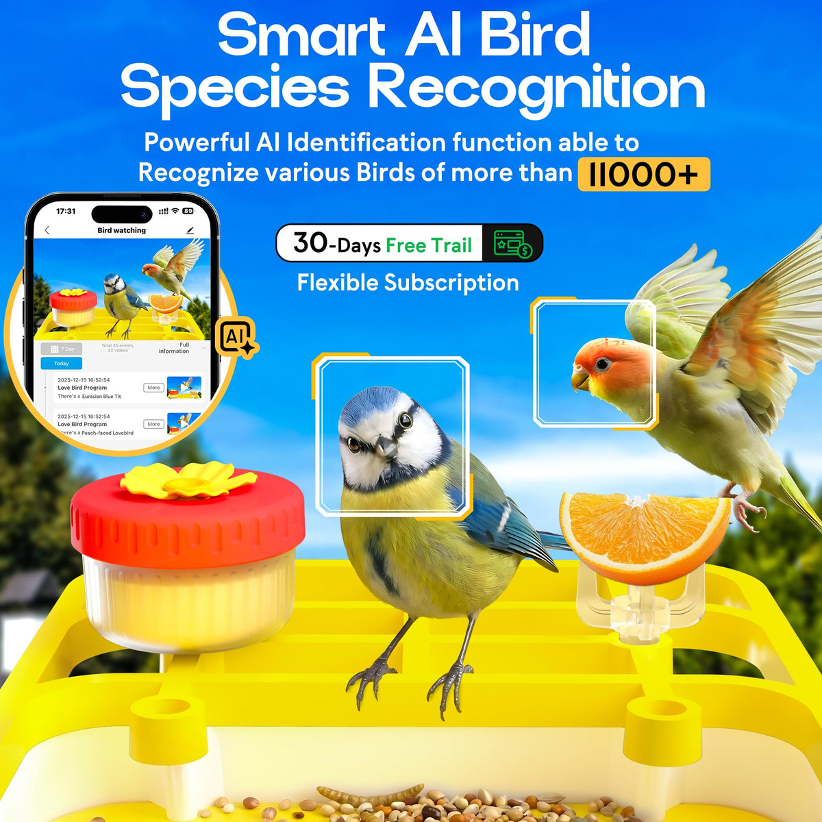 Bird Feeder with Camera, GTSABWAY Smart AI Identify Birds Camera with Solar Powered, Wireless Auto Record 5M HD Birds Video in Backyard, Instant Notifications - Yellow