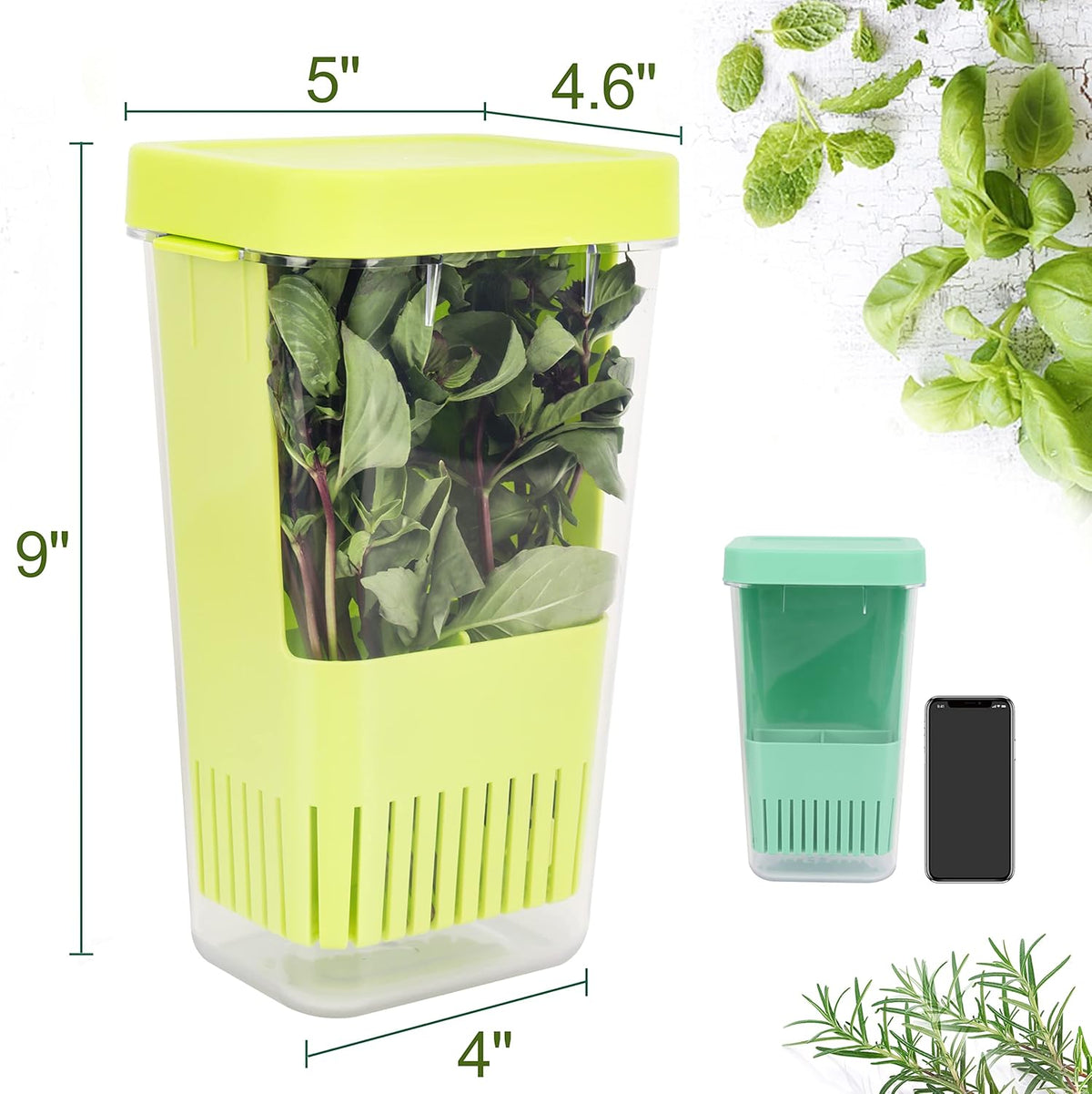 2 Pack Herb Keeper, BPA-Free Plastic Herb Saver with an Inner Basket for Cilantro, Mint, Parsley, and Asparagus, Keeps Fresh Herbs for 3 Times Longer