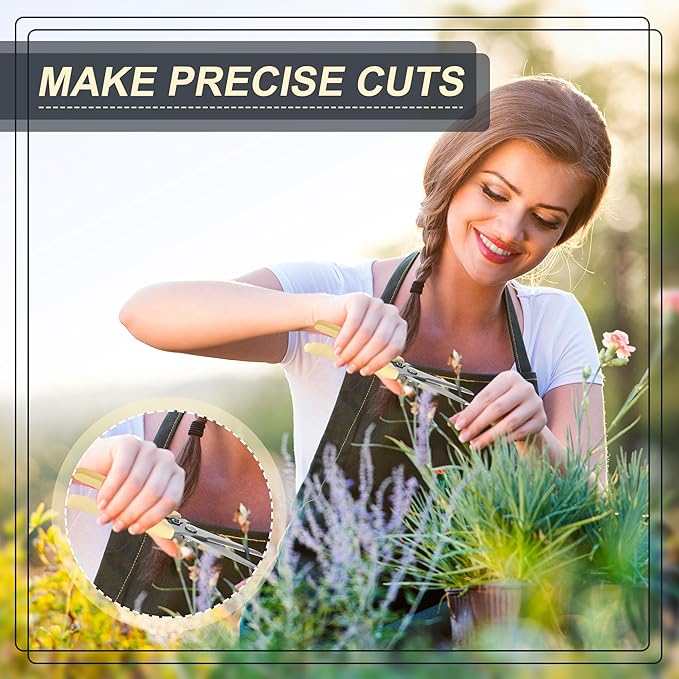 Chumia 30 Pcs Garden Flower Shears Pruning Scissors Heavy Duty Plant Scissors Trimming Garden Clippers Hand Tree Pruner for Yard Gardening Plants Hedge Flower Tree Cutting Secateurs (Beige)