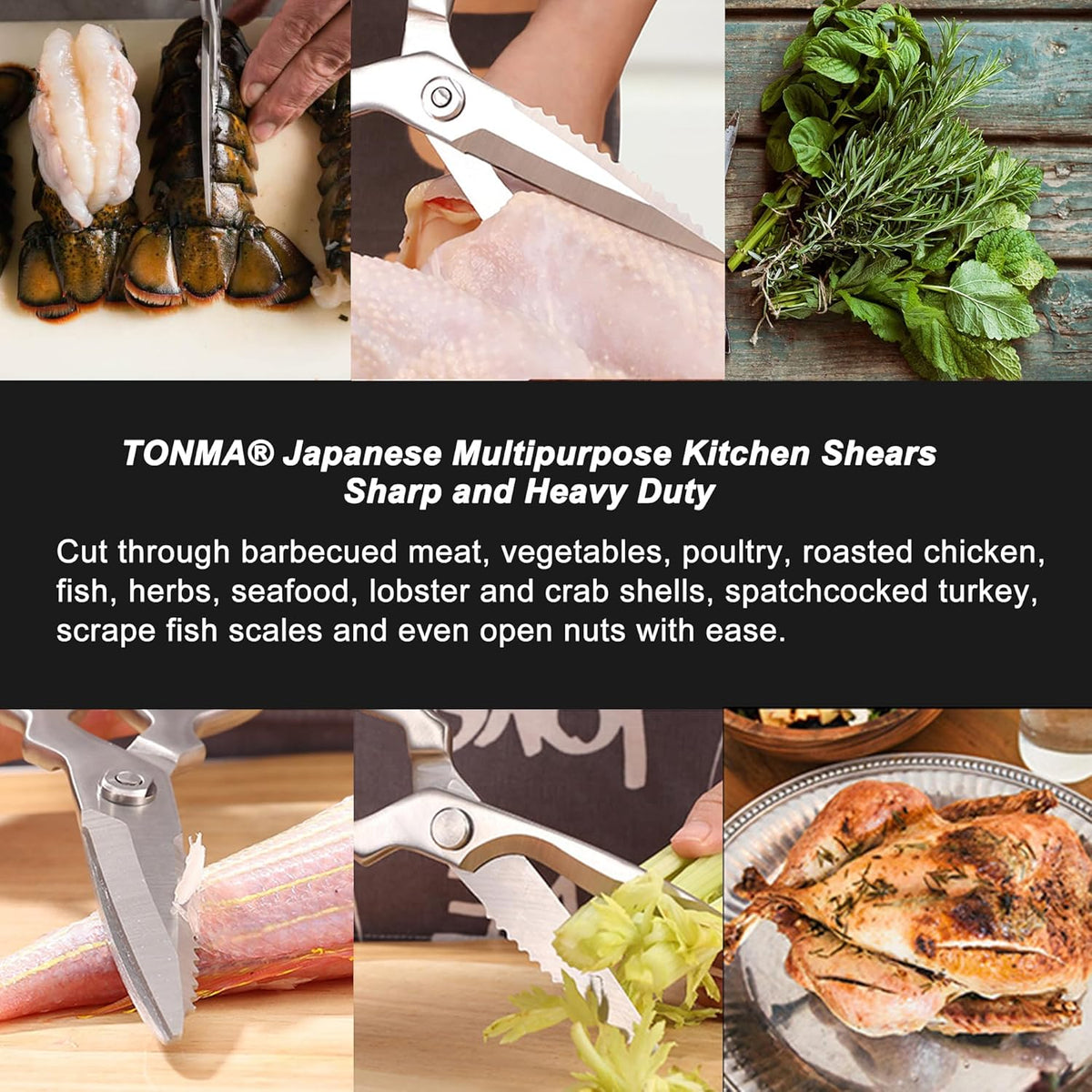 TONMA Heavy Duty Kitchen Shears [Made in Japan], Japanese Stainless Steel Poultry Shears, Multipurpose Kitchen Scissors for Meat, Fish, Chicken, Seafood