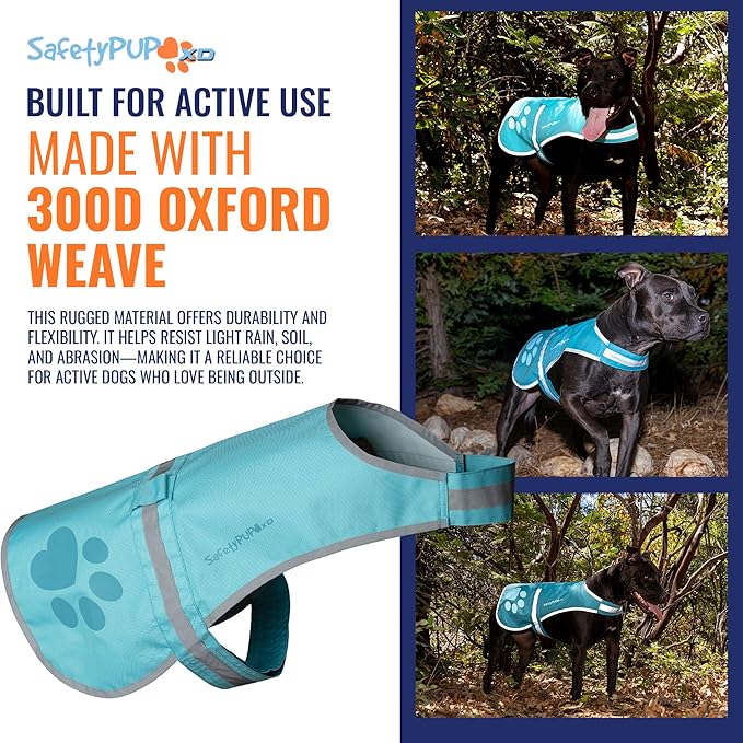 Dog Reflective Vest – Hi-Vis Fluorescent Visibility That Helps to Safeguard Your Pet On/Off Leash in Urban & Rural Areas (Teal, Large)
