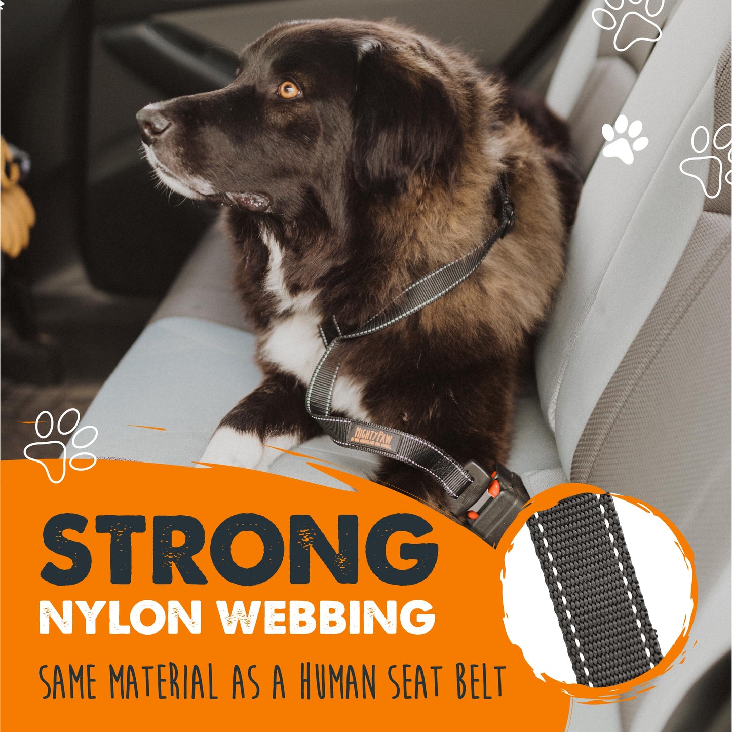 Mighty Paw Dog Seat Belt for Car, Heavy-Duty Aviation Aluminum Carabiner