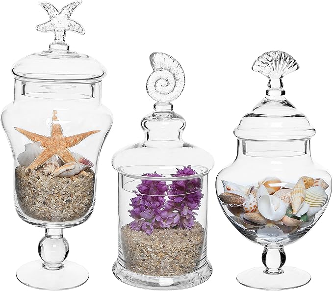 MyGift Clear Glass Apothecary Jars with Lid, Decorative Seashell Design Bathroom Canister, Footed Candy Buffet Containers, Set of 3