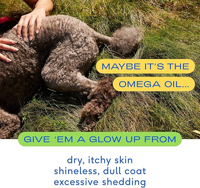 Native Pet Omega Oil for Dogs & Pumpkin for Dogs | Dog Fish Oil Supplements | All-Natural, Organic Pumpkin Fiber for Dogs | 8 Oz. Omega Oil & Pumpkin Powder