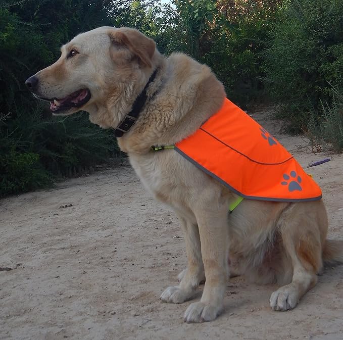 Dog Reflective Vest - Comfortable Jacket Safety Hunting, High Visibility for Dogs with Elastic Straps and Clasp Closure- Orange, X-Small