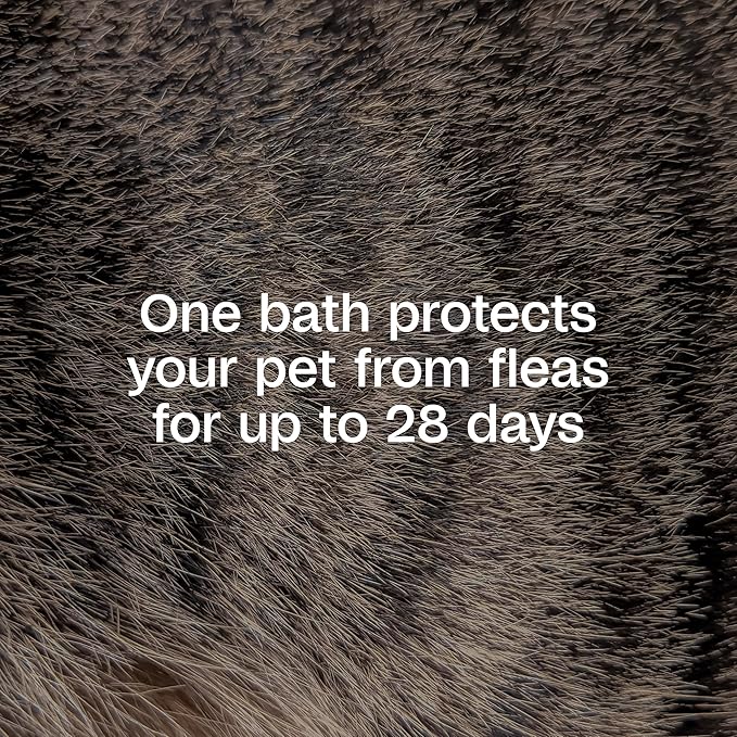 Adams Plus Flea & Tick Shampoo with Precor for Cats, Kittens, Dogs & Puppies Over 12 Weeks Of Age Sensitive Skin Flea Treatment | Kills Adult Fleas, Flea Eggs, Ticks, and Lice| 12 Ounces