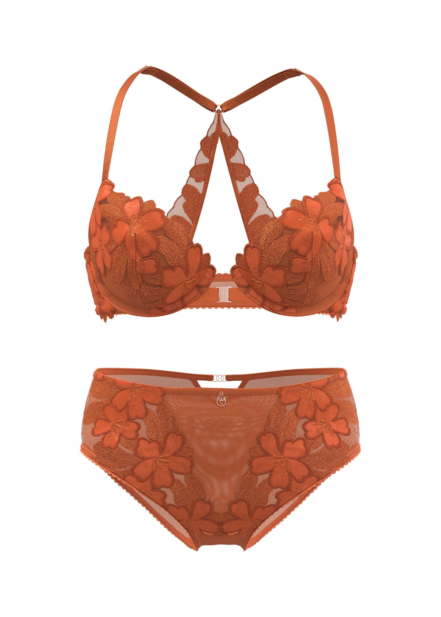 CECILY Plus Orange Floral Embroidery Lace Lingerie Set