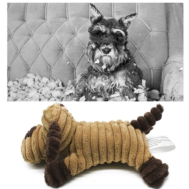 Squeaky Bear Plush Dog Toy