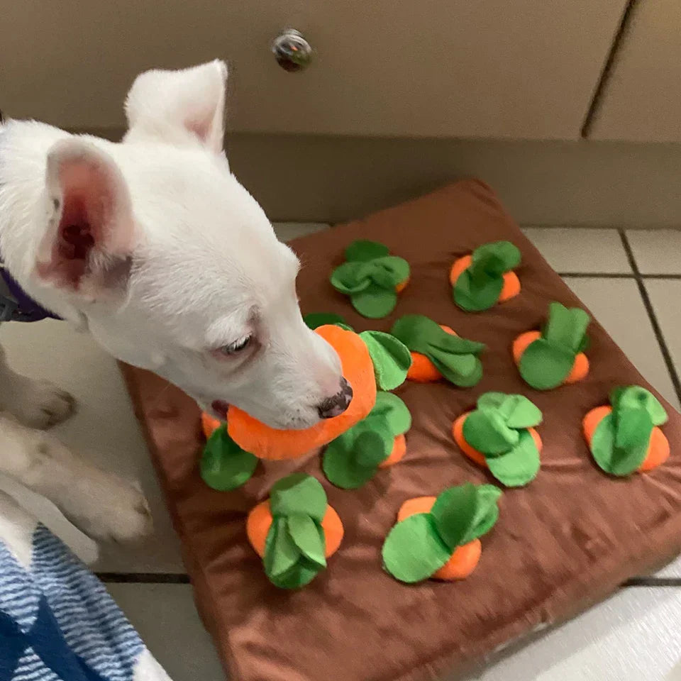 NONOR Carrot Puzzle Chew Toy
