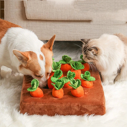 2-in-1 Carrot Dog Toy
