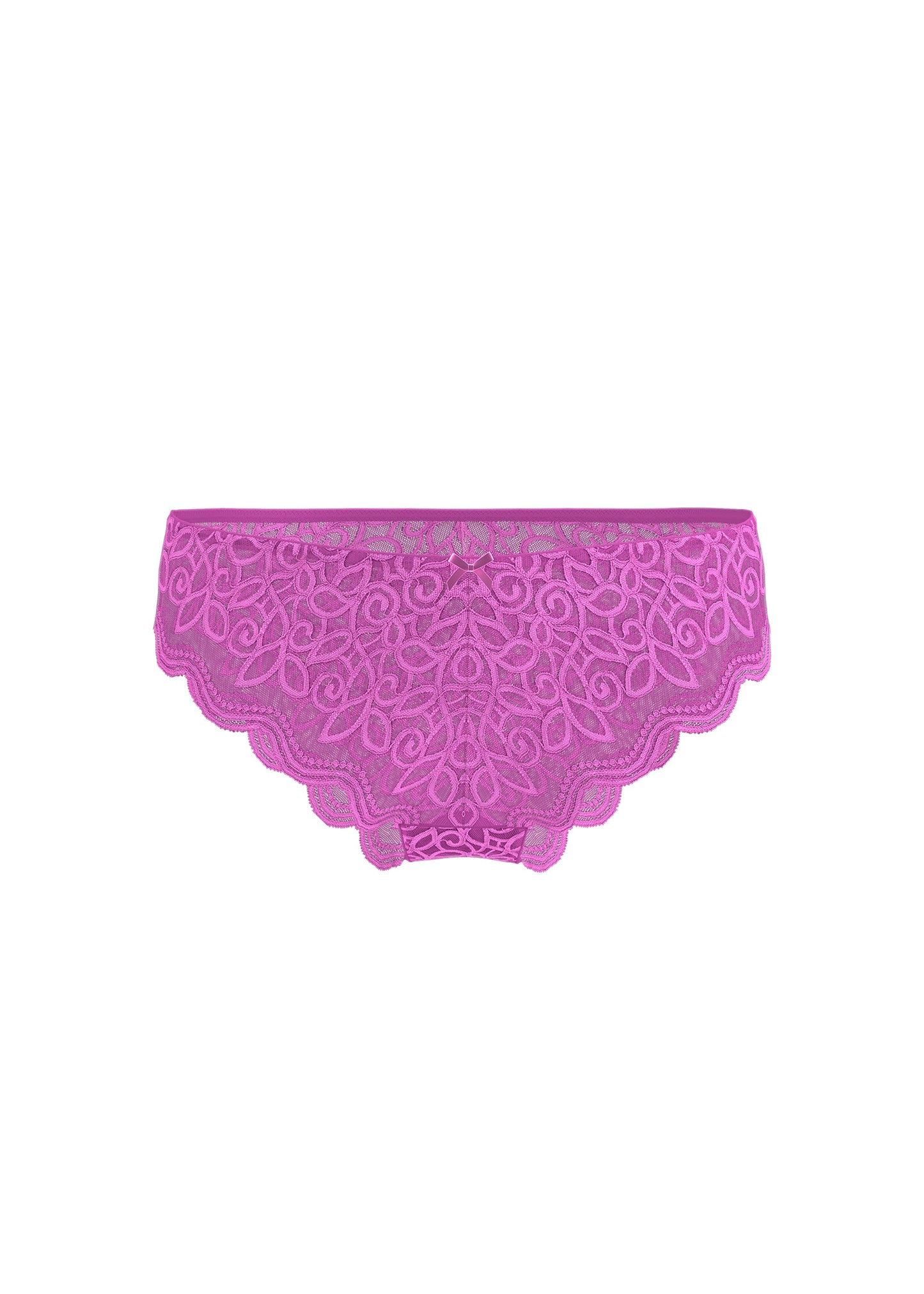 SASHA Plus Fushia Floral Lace Brief Panties