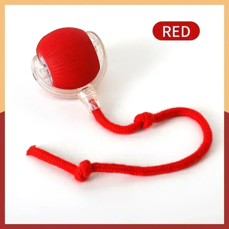 Smart Rolling Ball Cat Toy