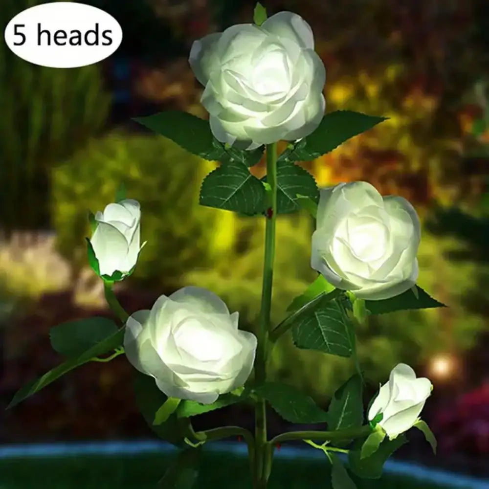 Solar Rose Garden Lights