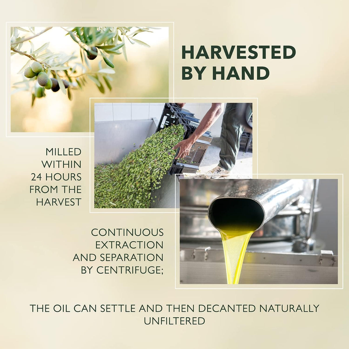 Barbera Frantoia EVOO – 2x 1L Sicilian Extra Virgin Olive Oil (Biancolilla, Nocellara, Cerasuola) Cold-Pressed