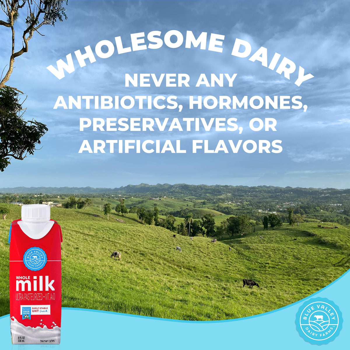 Blue Valley Shelf-Stable Whole Milk Boxes with Vitamin D – 8oz, 24 Pack, Cholov Yisroel Kosher
