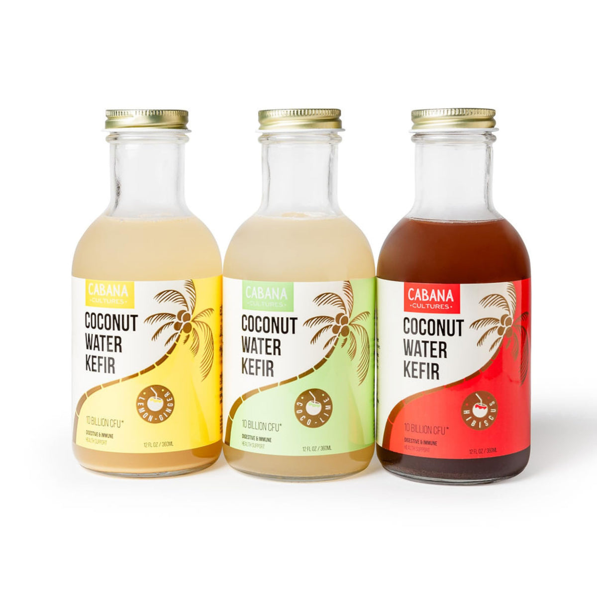 Cabana Cultures Probiotic Coconut Water Kefir – Gut Health, Hydration & Immunity Support | Variety Pack (12-Pack)