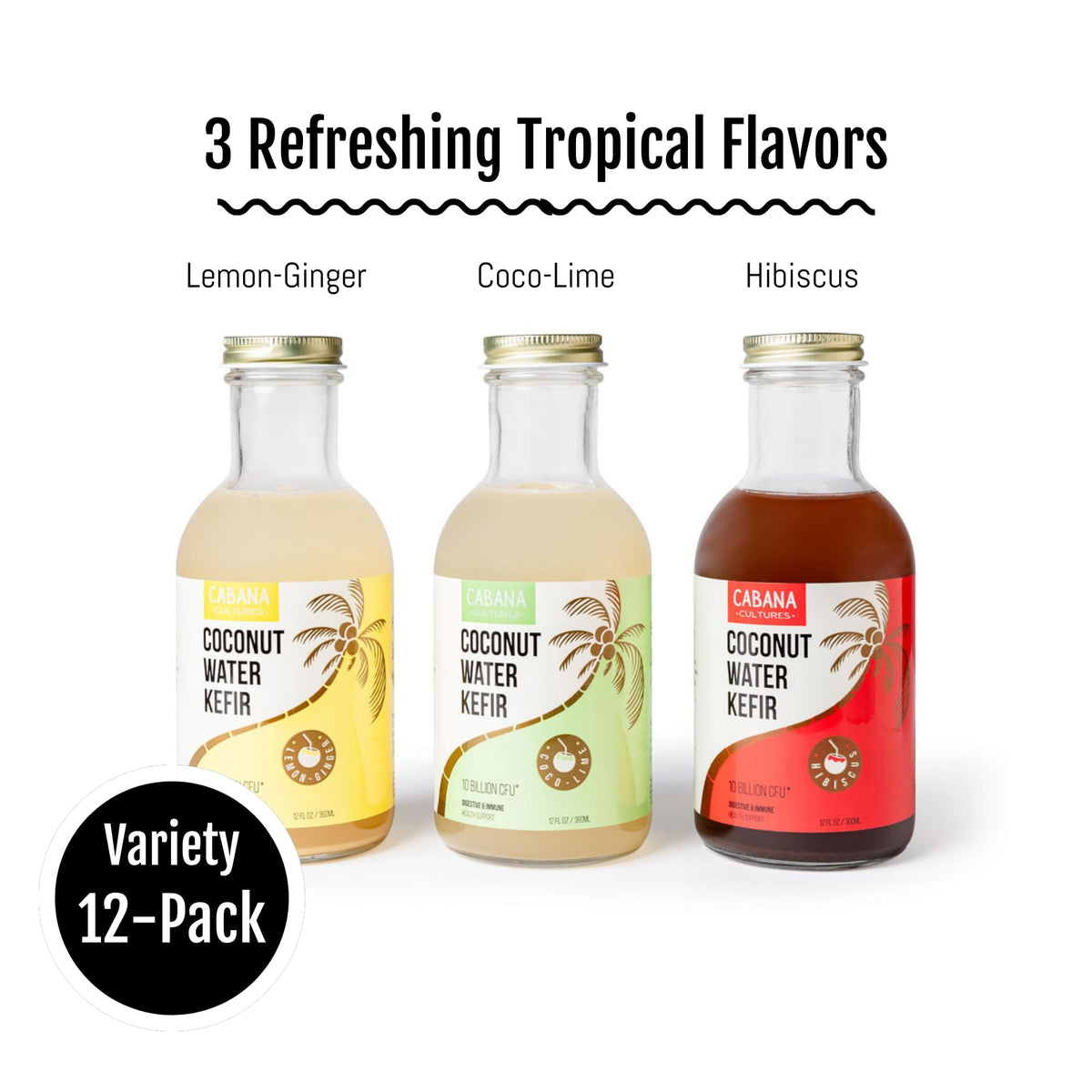 Cabana Cultures Probiotic Coconut Water Kefir – Gut Health, Hydration & Immunity Support | Variety Pack (12-Pack)