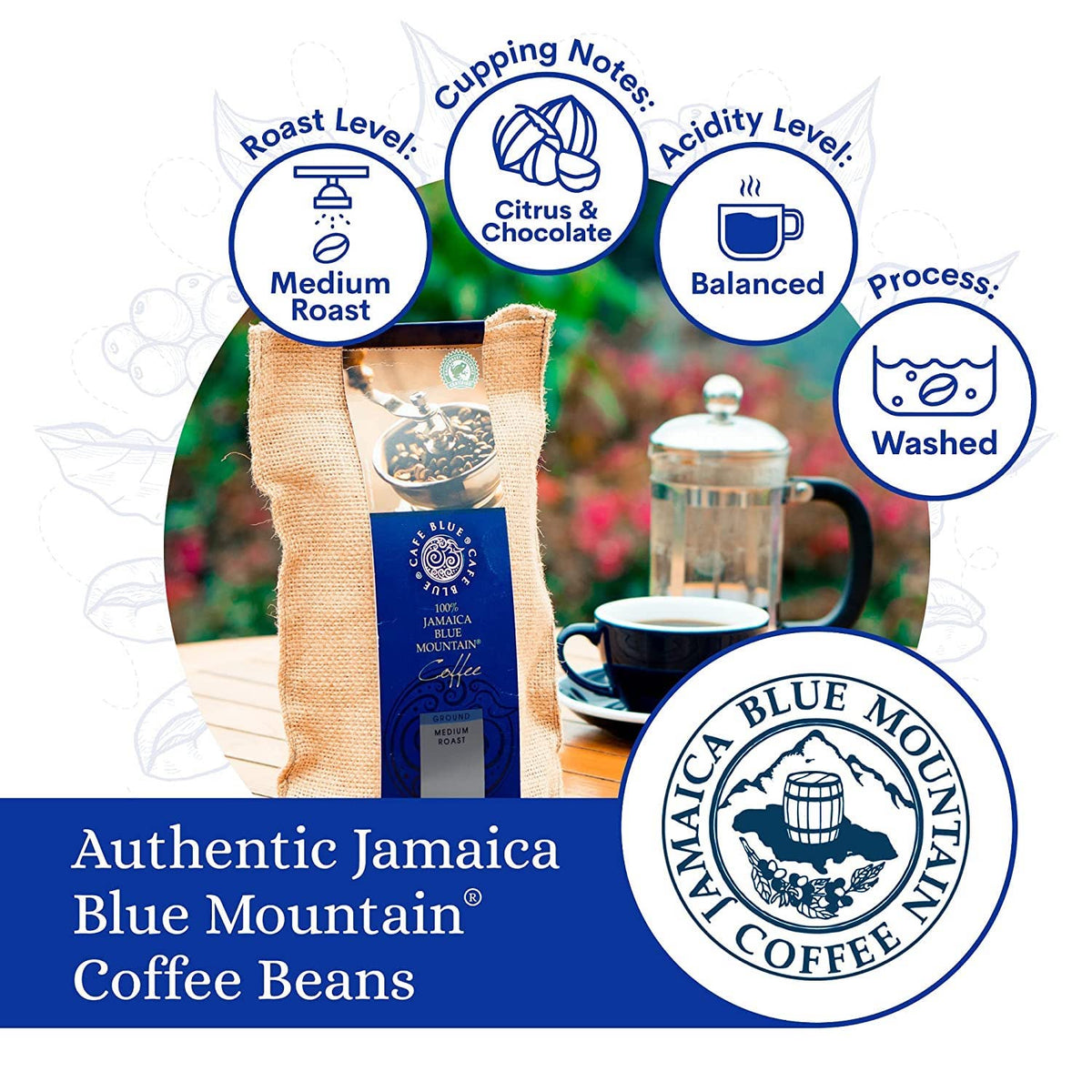 Cafe Blue – 100% Authentic Jamaica Blue Mountain Coffee (Clifton Mount), Medium Roast, 16 oz