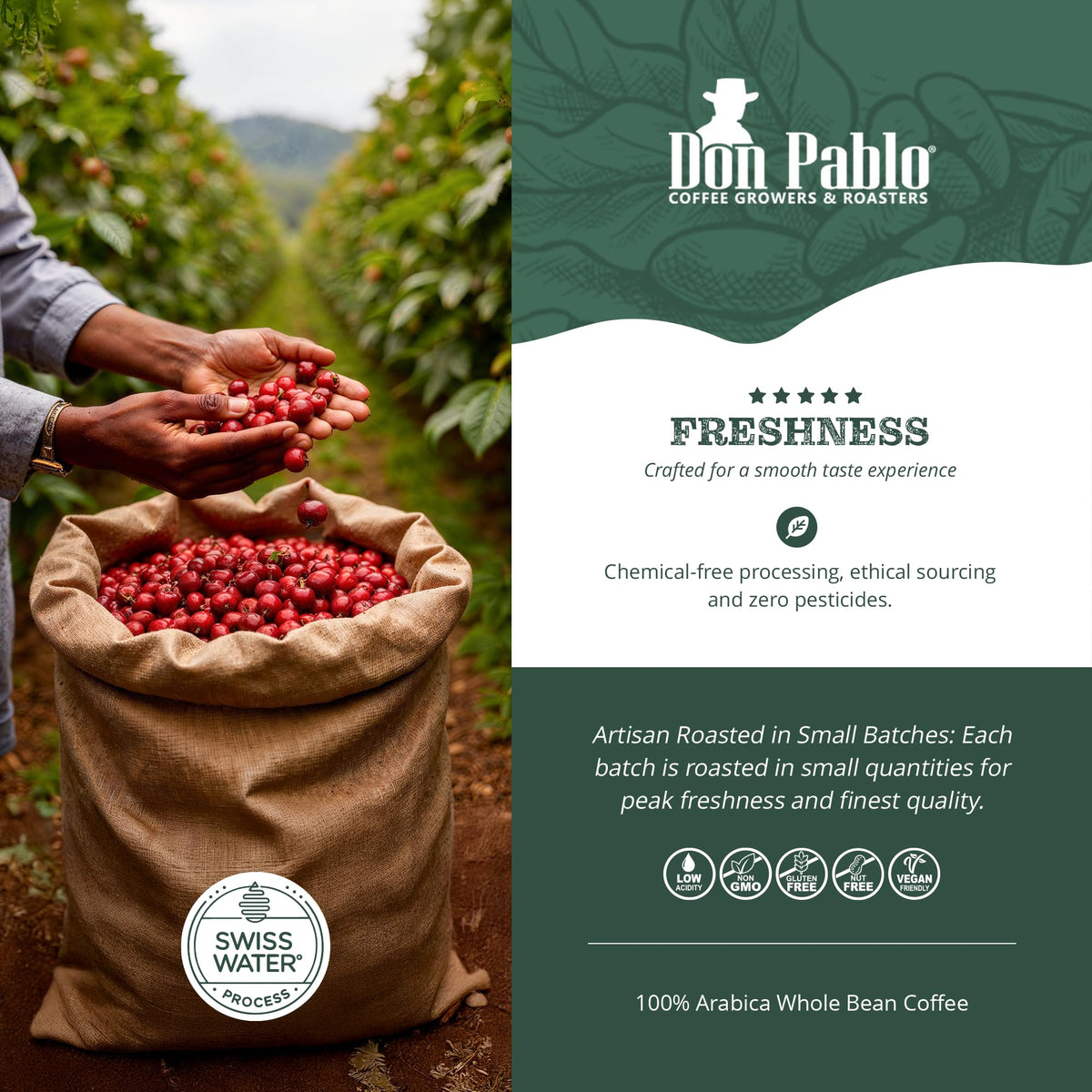 Don Pablo Colombian Decaf – Swiss Water Process, 100% Arabica Whole Bean, Medium-Dark Roast, 907g