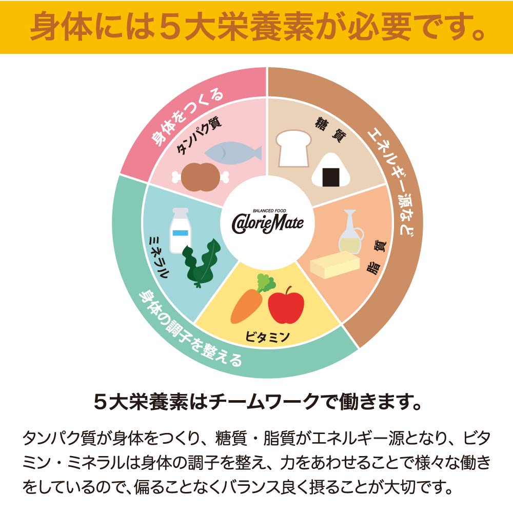 Calorie Mate Chocolate Taste – 30 Pieces | Japanese Nutritional Snack