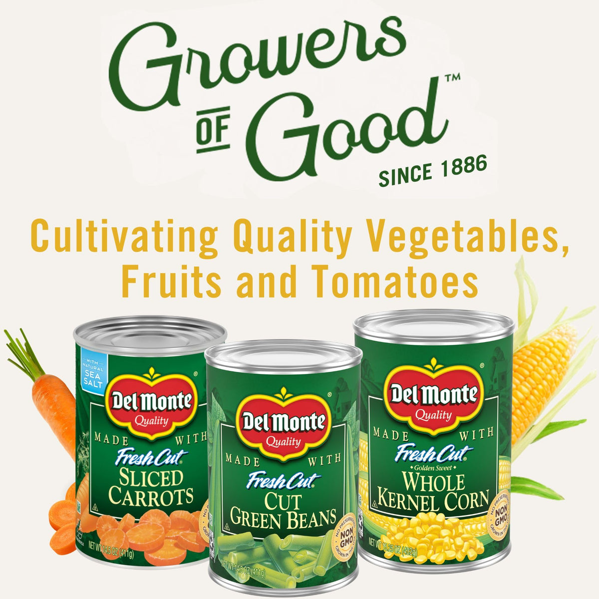 Del Monte® Whole Artichoke Hearts 14 oz Can, 12 Pack | Fresh Cut, Non-GMO
