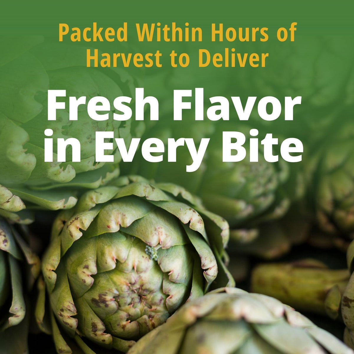 Del Monte® Whole Artichoke Hearts 14 oz Can, 12 Pack | Fresh Cut, Non-GMO
