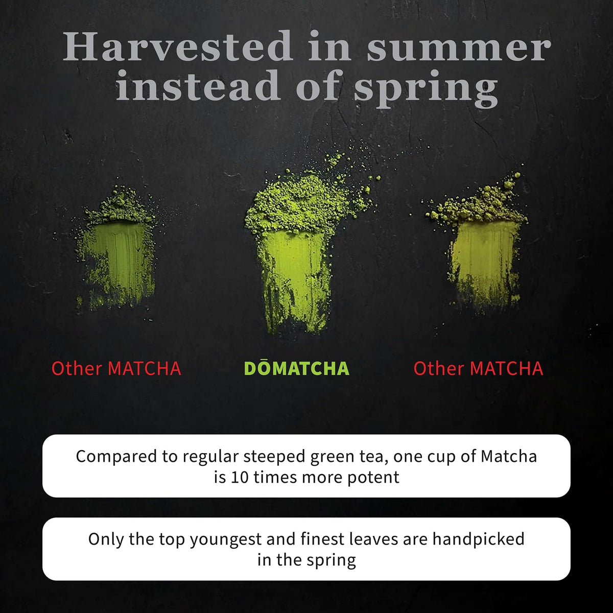 DoMatcha Organic Ceremonial Green Tea Matcha Powder – 75 Servings, Focus & Calm