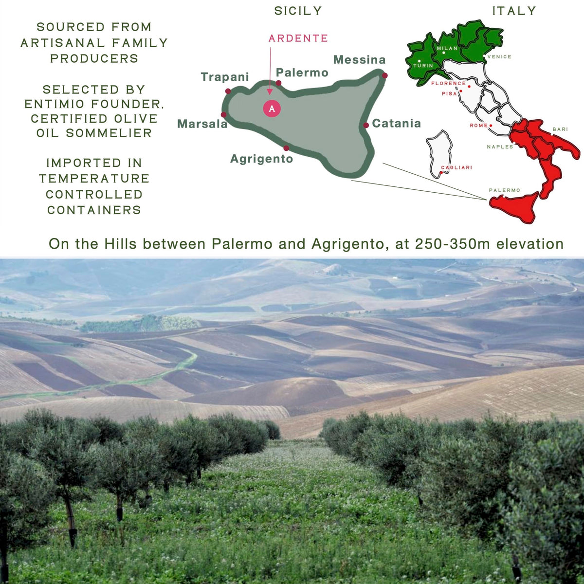 Entimio Ardente Organic Italian EVOO – 2026 NYIOOC Gold, Early Harvest Sicilian, 16.9 oz