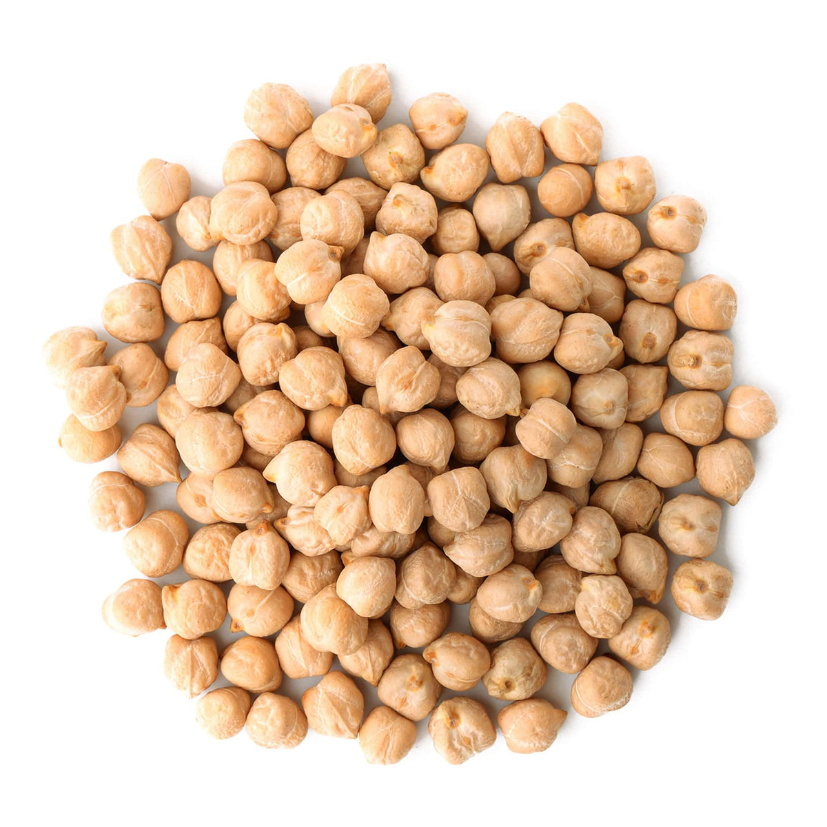 Food to Live Organic Garbanzo Beans 15 lb Bulk – Dried Chickpeas Non-GMO Kosher Raw Sproutable
