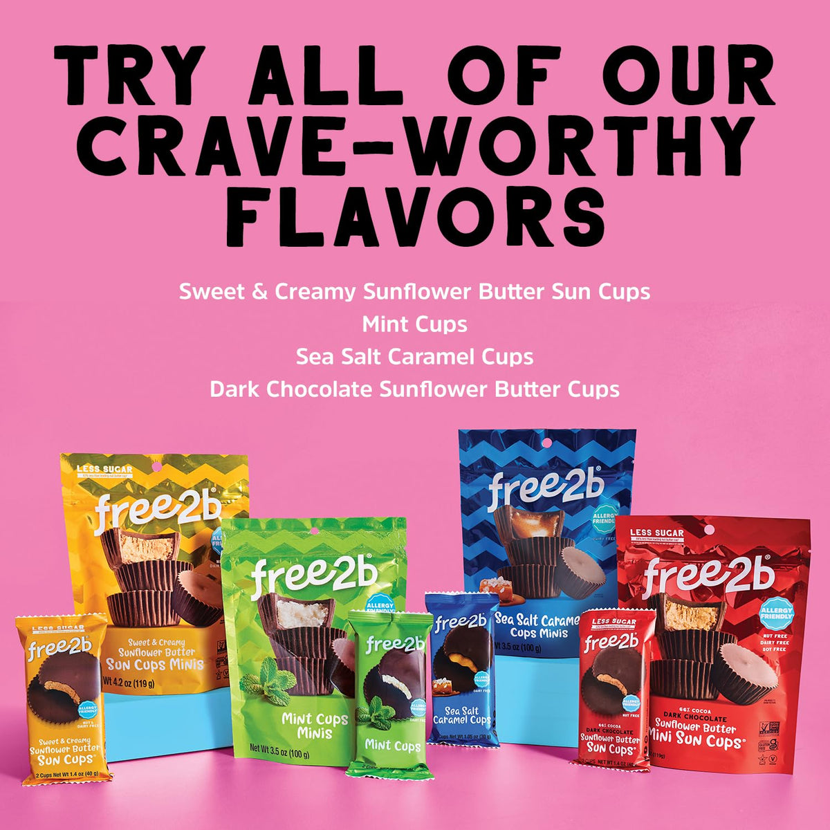 Free 2b Chocolate Sun Cups – Gluten-Free, Dairy-Free, Nut-Free & Soy-Free, 1.4 oz Each (Pack of 12)