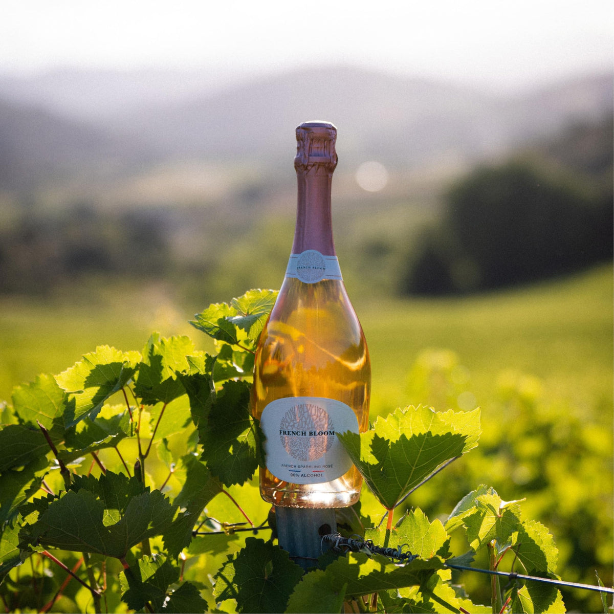 French Bloom Le Rosé 0.0% Alcohol-Free Sparkling Wine — Organic, Vegan, Sulfite-Free (750ml)