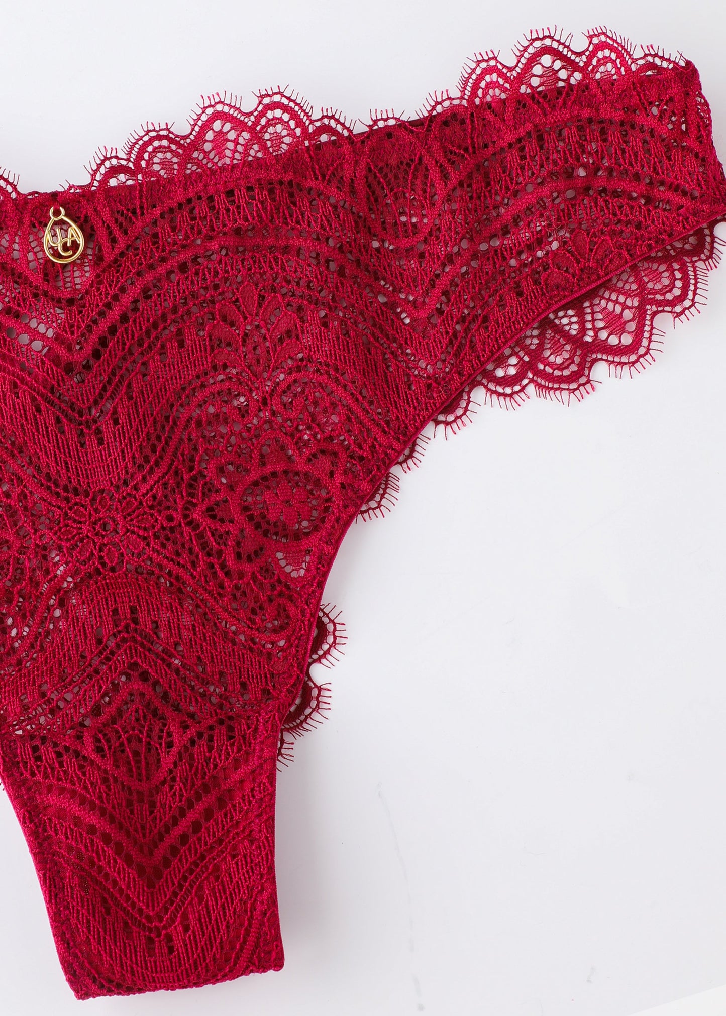 GLORIA Plus Sexy Plum Lace Tanga Panties