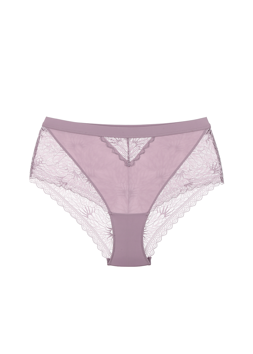 HANNAH Sexy Lace High Waist Brief
