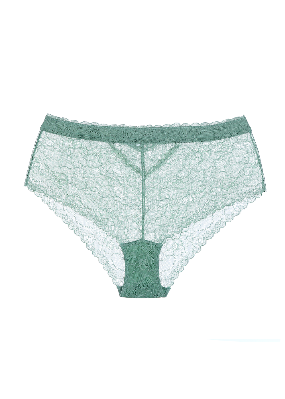LILY Plus Sexy Recycled Lace High Waist Brief Panties