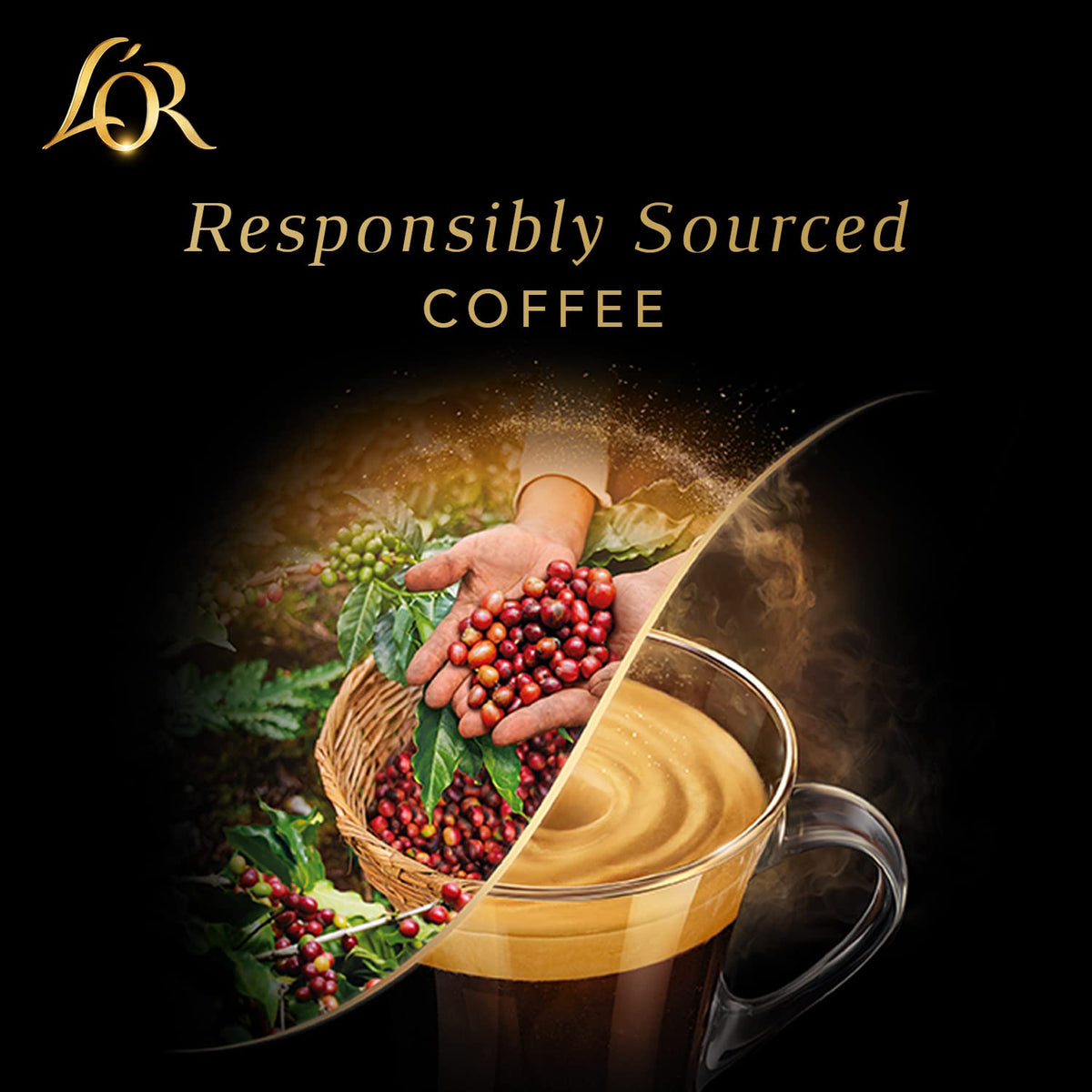 L'OR Espresso Capsules Colombia, 100 Count – Compatible with L'OR BARISTA & Nespresso Original