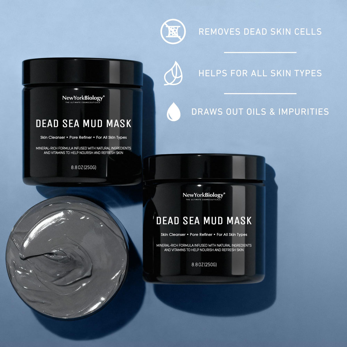 New York Biology Dead Sea Mud Mask for Face & Body - 8.8 oz
