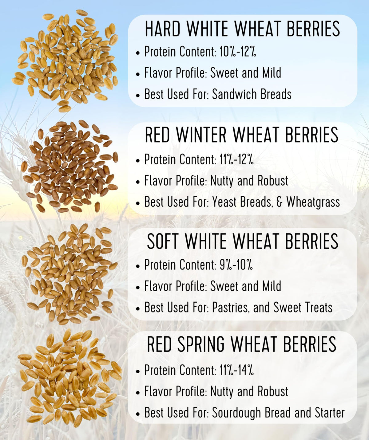 Palouse Brand Glyphosate Residue Free Hard Red Spring Wheat Berries | 25 LBS Bucket | Sproutable, Non-GMO Project Verified, Kosher | Washington Farm