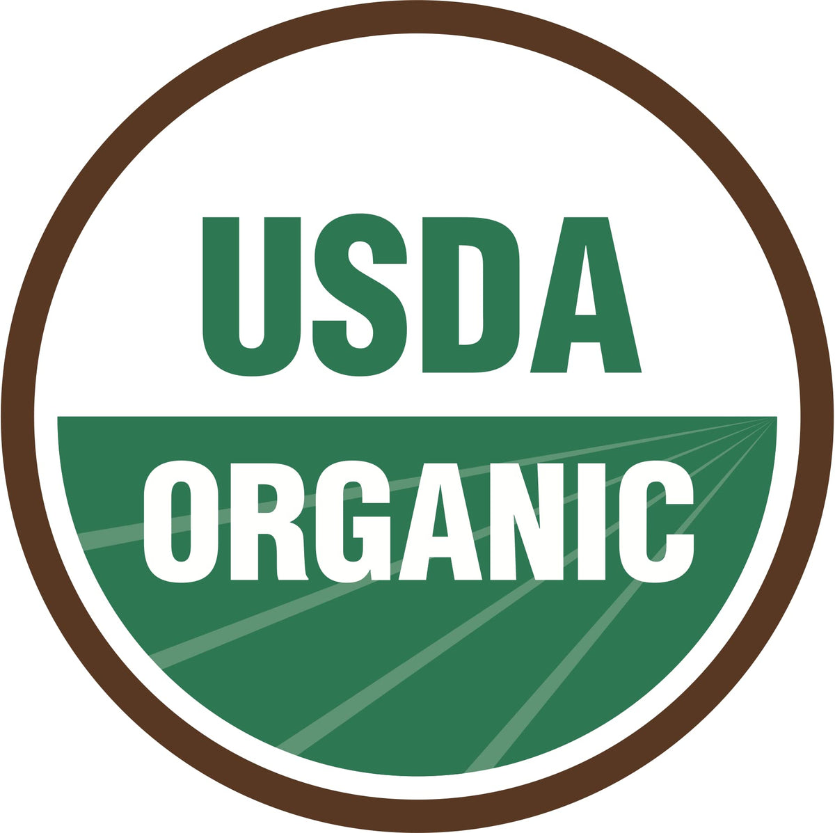 Sapsquatch Organic Maple Syrup Gallon Grade A Amber Rich | USA Made