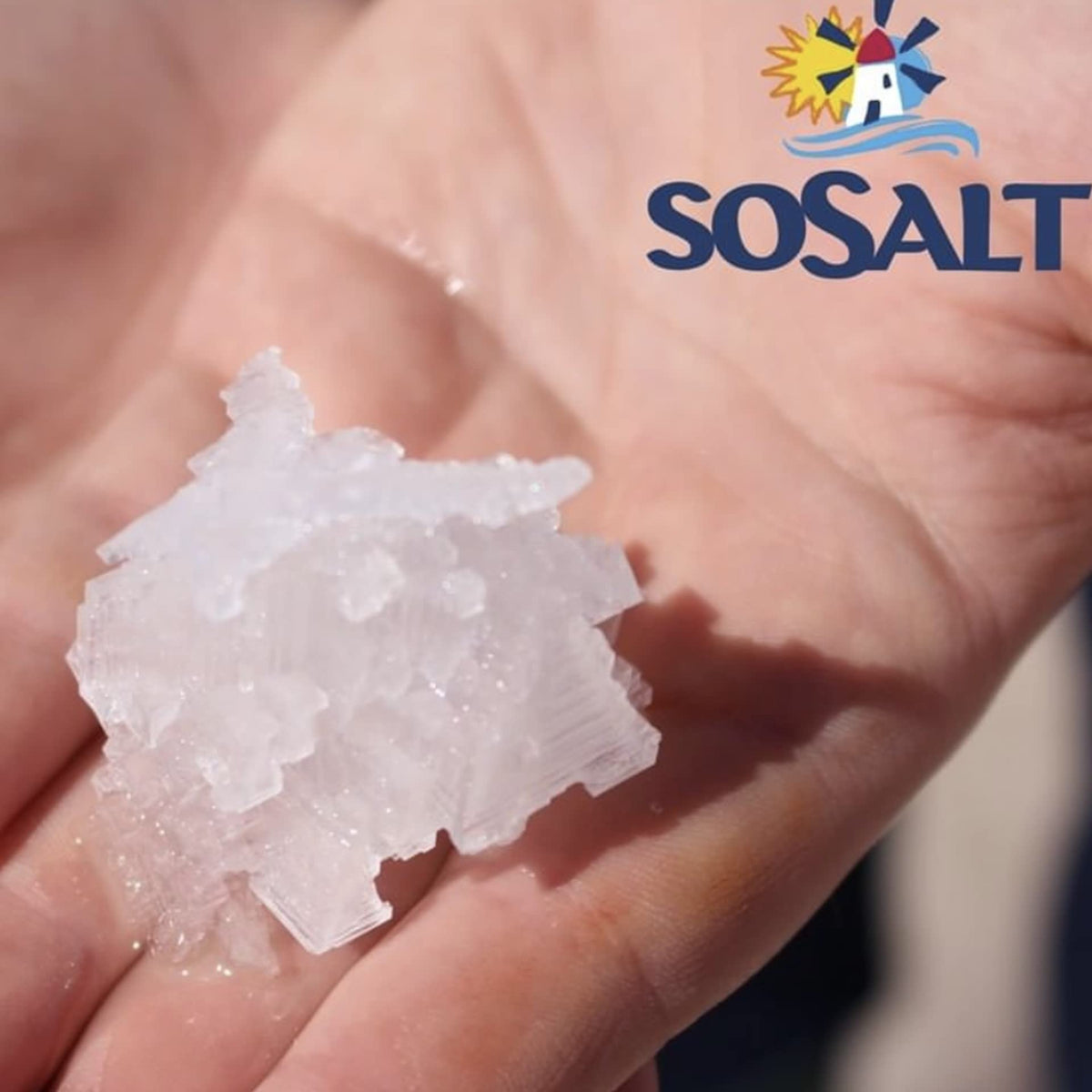 SOSALT DAL MARE DI TRAPANI Coarse Sicilian Sea Salt – Bulk 12.5 kg, Kosher OU, Trapani, Sicily