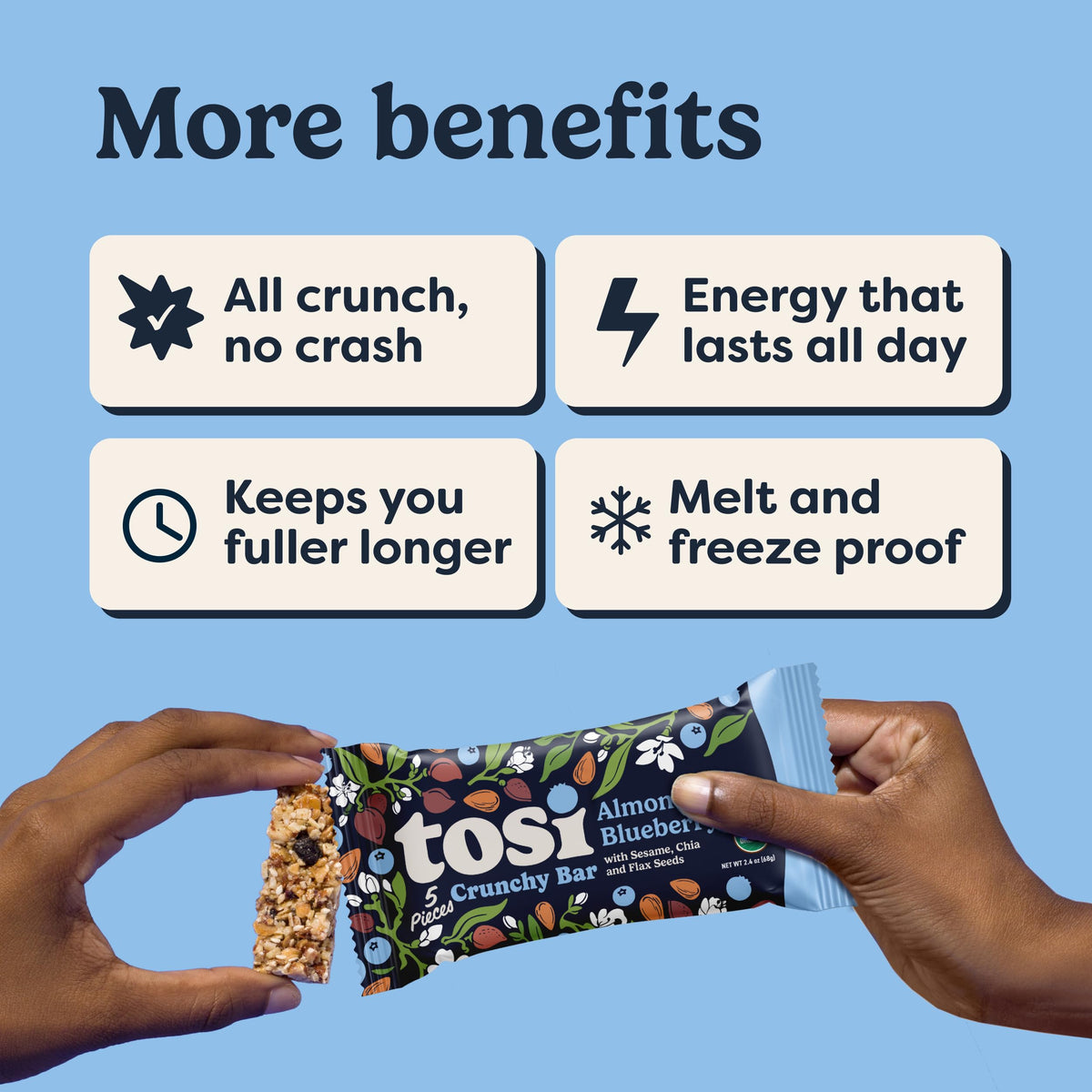 Tosi Meal Nut Bars – Almond Blueberry, Plant-Based Protein Bar, Vegan, Gluten & Soy Free, 2.4oz, 12-Pack