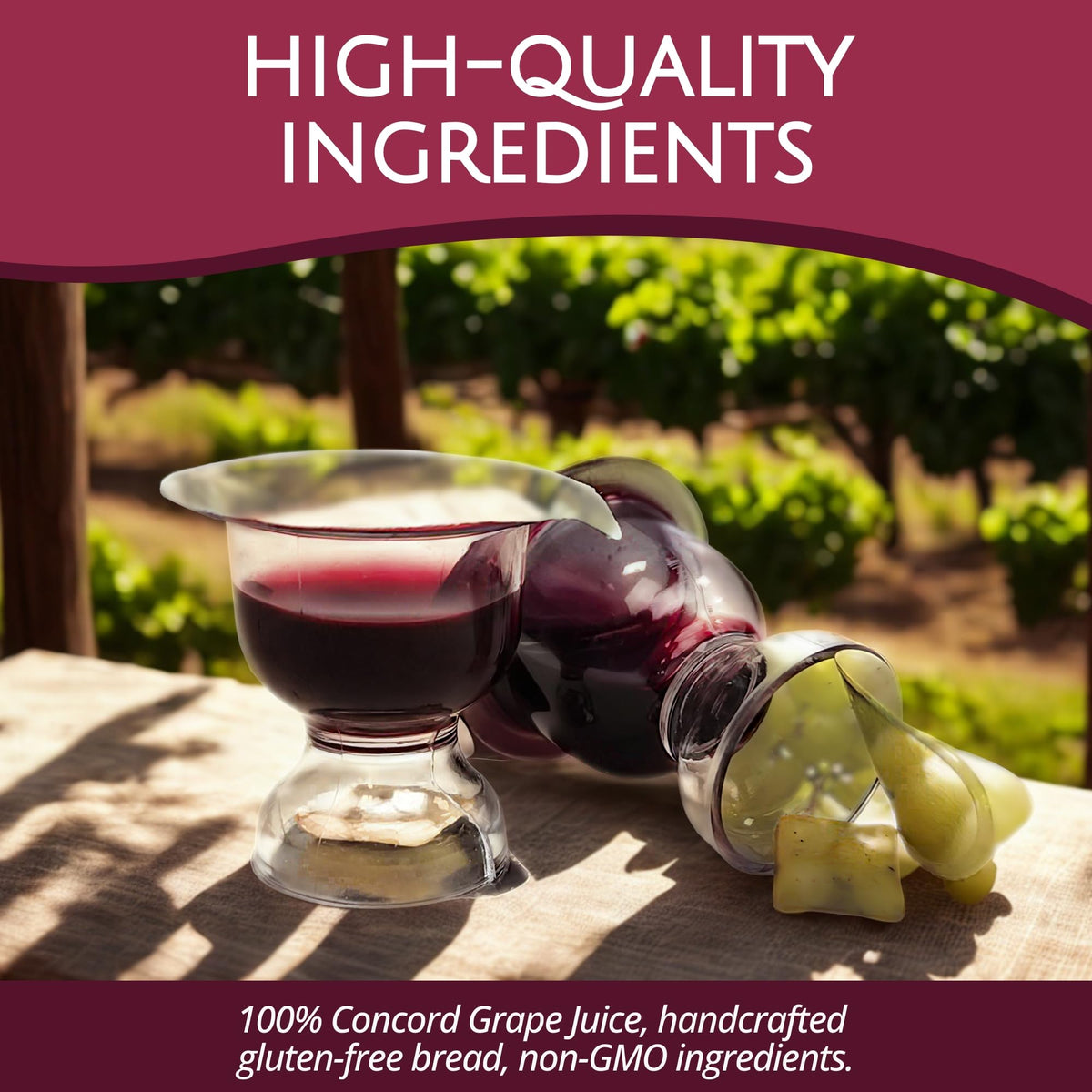 TrueVine Chalice Communion Cups & Wafer Set – Gluten Free Bread & Grape Juice