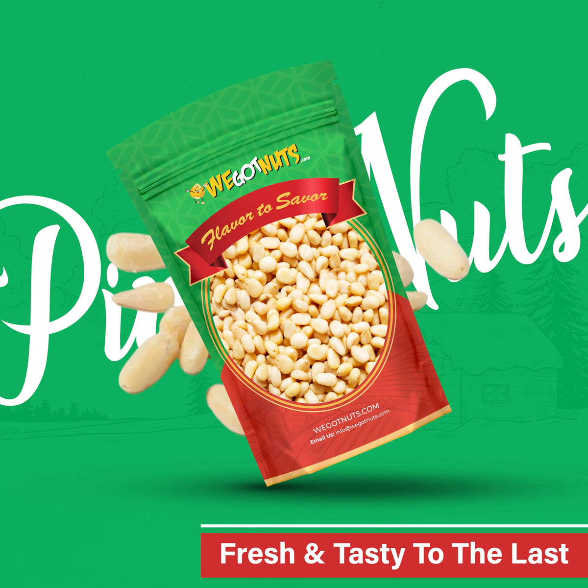 We Got Nuts Raw Pine Nuts – 2 lb Kosher, Fresh & Natural for Pesto, Salads & Cooking